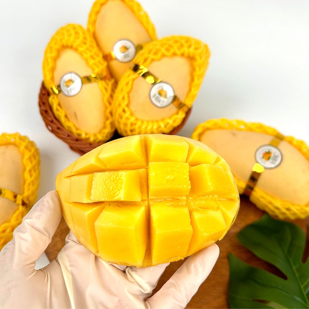 태국 골드망고 고당도 프리미엄 생 망고 항공직송, 1박스, 남독마이 골드망고 2.5kg 내외 (5~9과) 28,000원