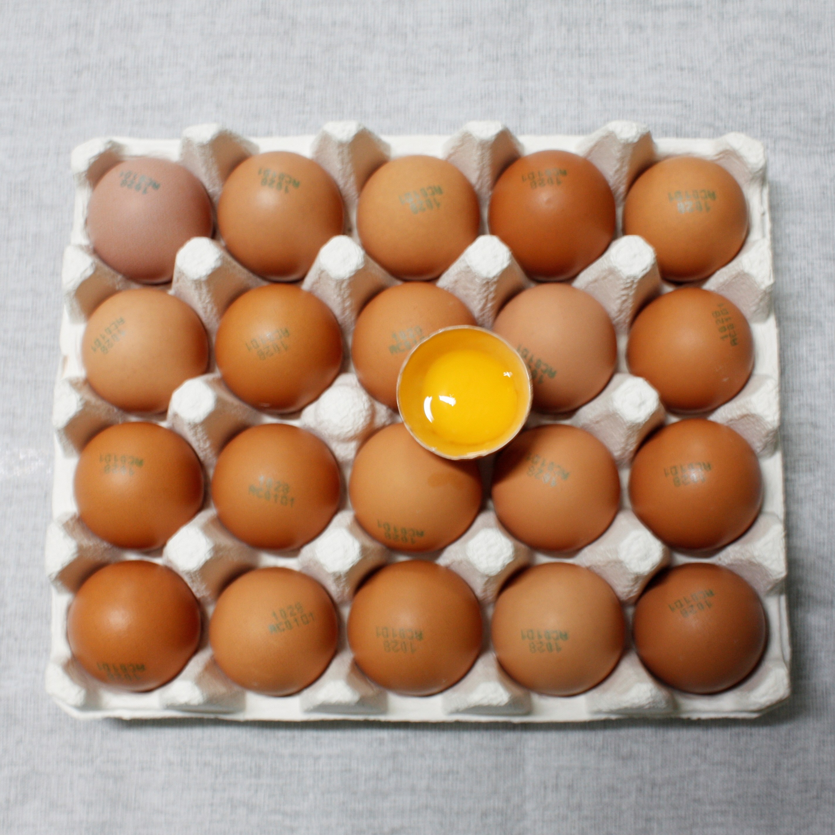 우리집계란 유정란 난각1번 계란 달걀 대란 무항생제 HACCP인증 파손보장, 1개, 20구 16,900원