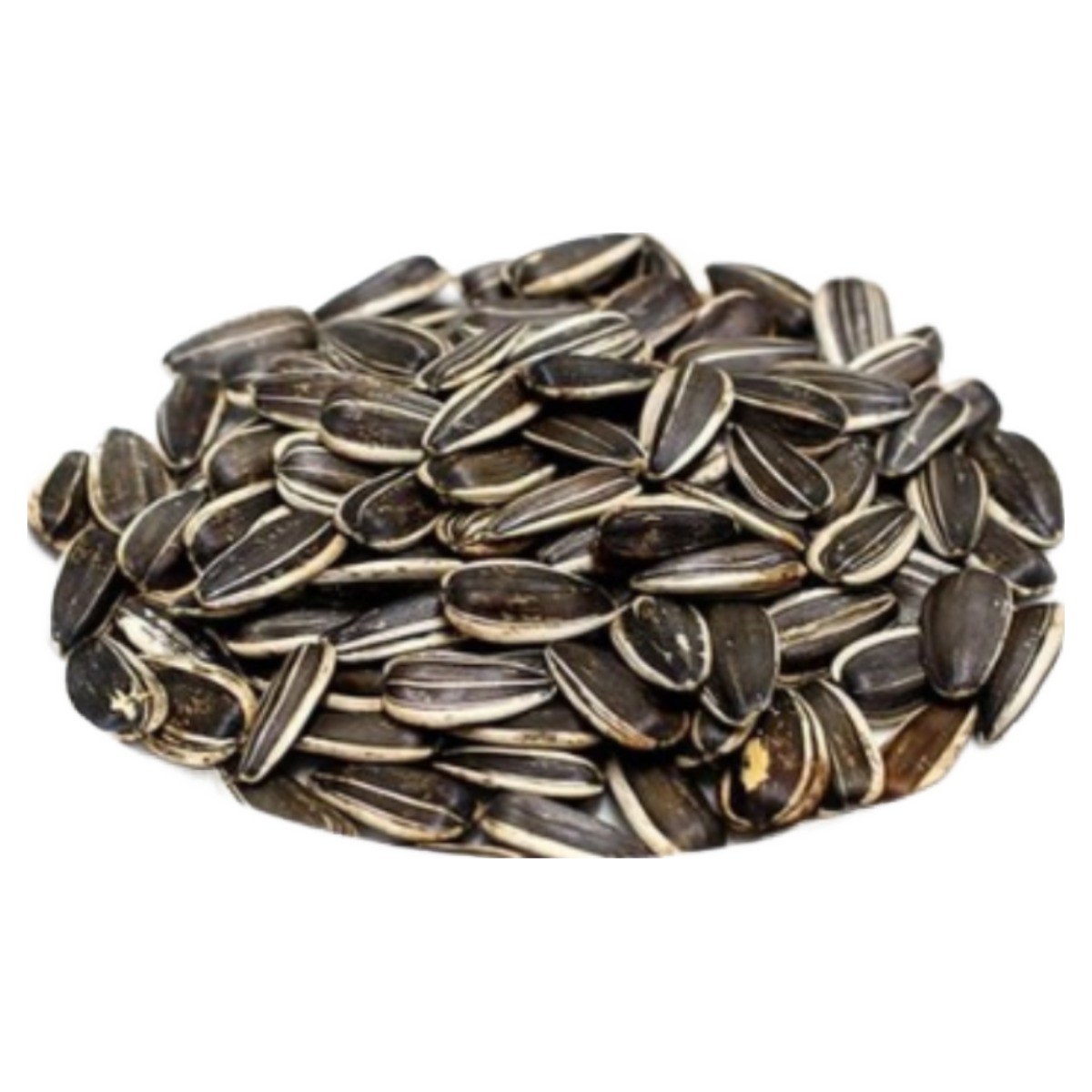 [당일배송] 세척 볶음 왕 해바라기씨 대형 해씨 햄스터 앵무새 간식 19,890원