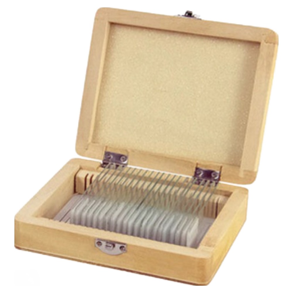 셀레스트론 현미경 프레파라트 25종 세트 33,000원