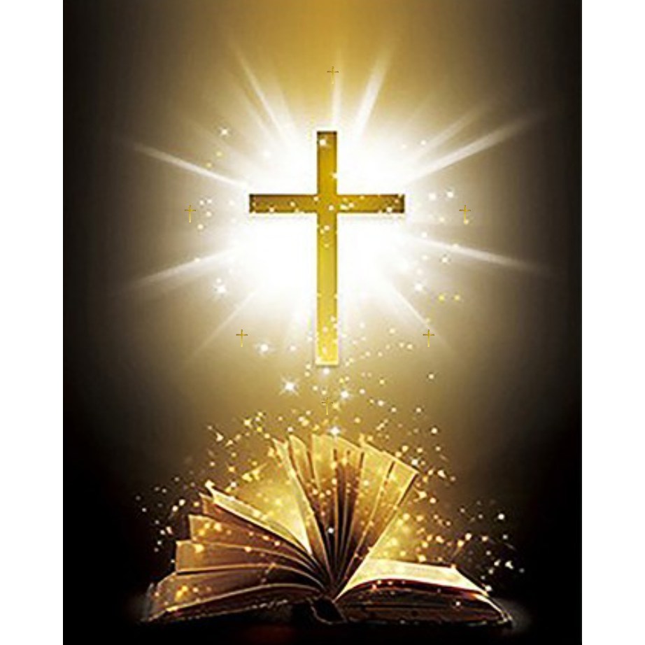 보석십자수 액자 캔버스형 50 x 40 cm DIY 풍수 해바라기 금전수 사과 엠제이에스, Y21 믿음성경, 1개 16,900원