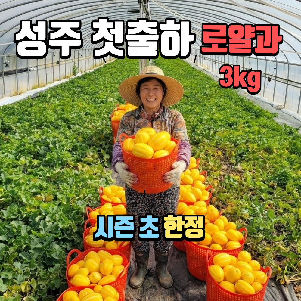 고당도 성주 꿀참외 [ [ 로 얄 과 ] ] 중과 3kg 가야산 자락 시즌 초 첫출하 35,400원