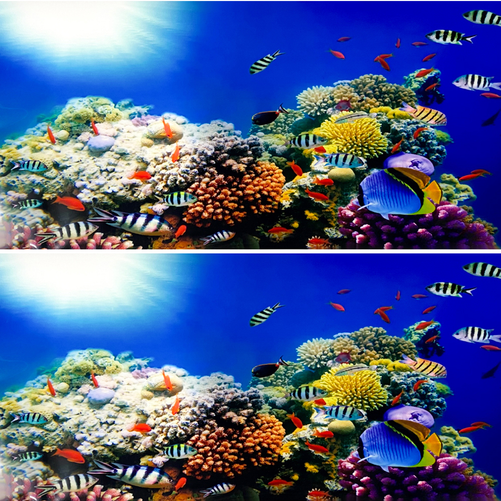 미미네아쿠아 3D 어항 백스크린 11,000원