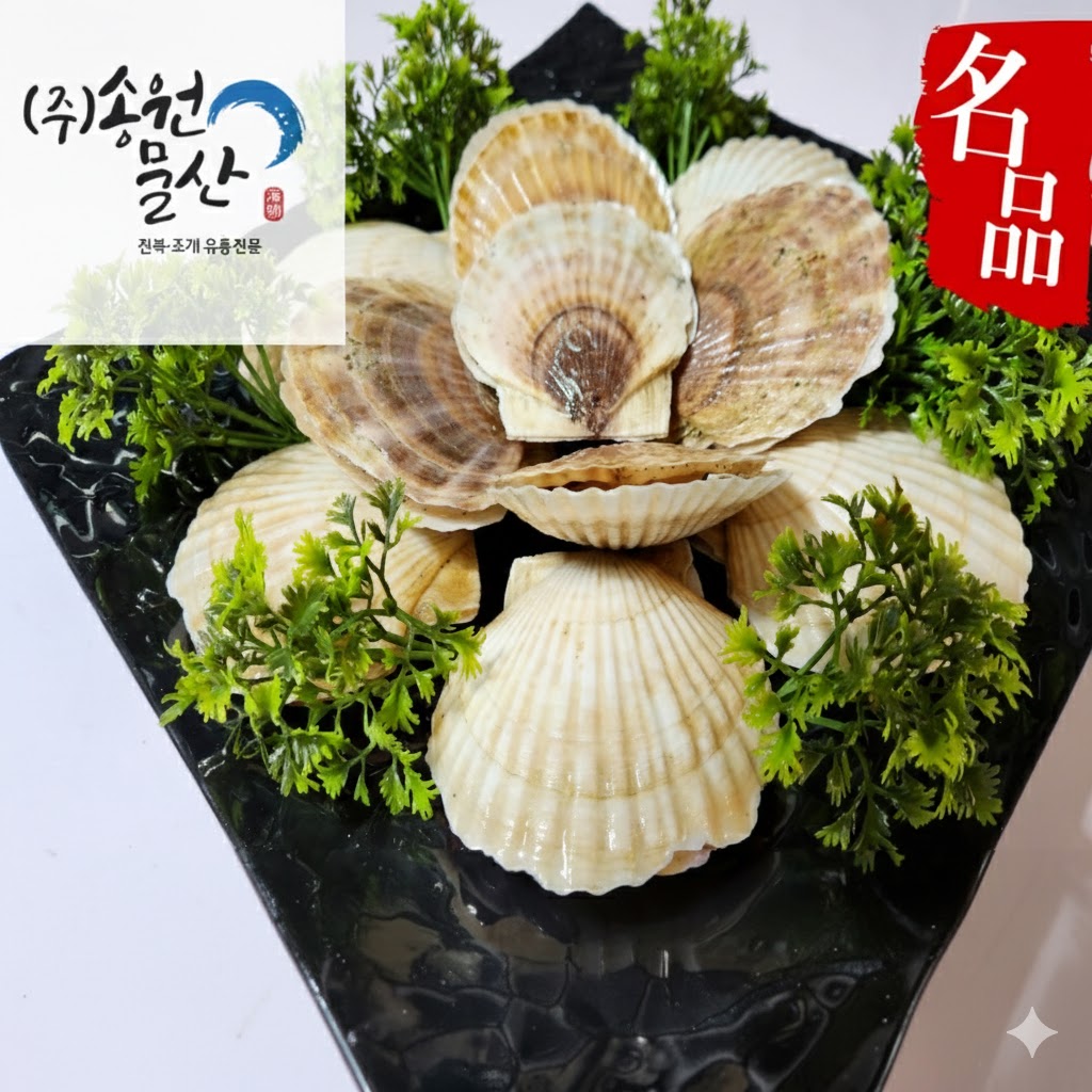 [활수산] 왕가리비 대왕가리비 생물1kg (7~10미) 캠핑용조개구이, 찜용,, 1개, 1kg 23,900원