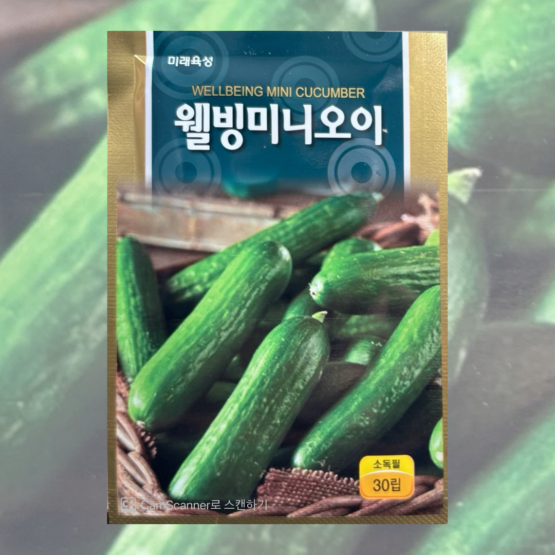 미니오이씨앗 30립 스낵오이 미래 5,000원