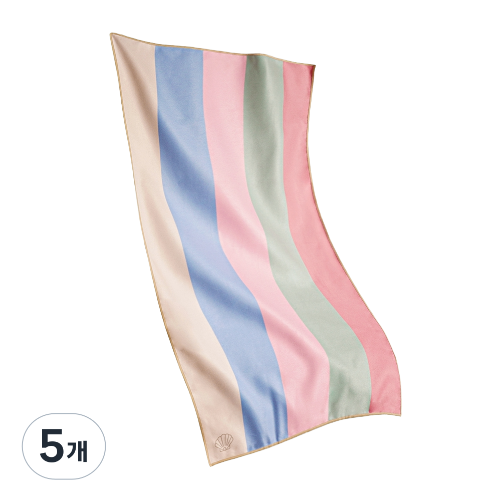 피부친화 고급형 극세사 감성 스포츠타올, 5개, 브리즈라인-콤팩트 49,440원