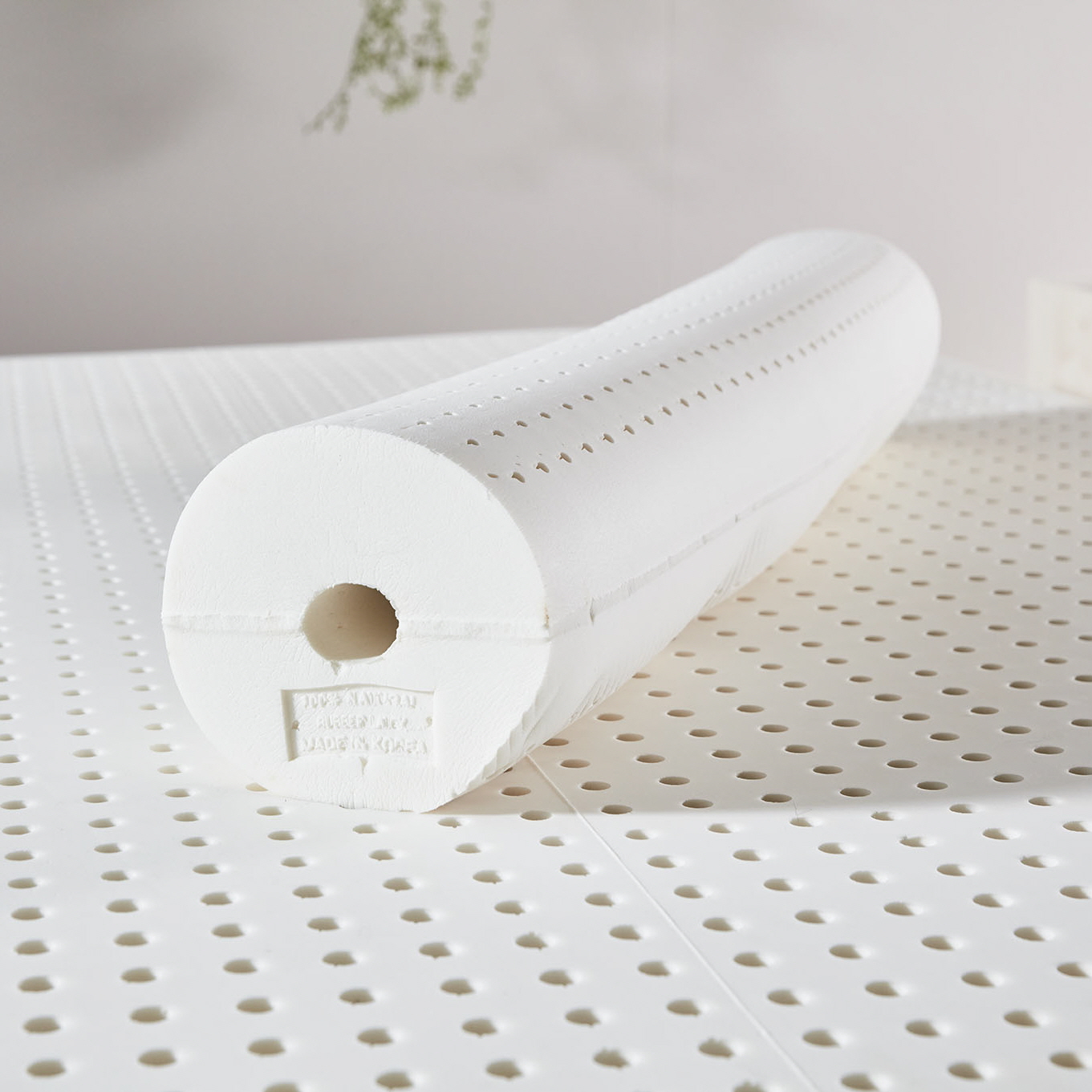 엔씨엘 천연라텍스 바디필로우 코어 + 속커버 43,000원