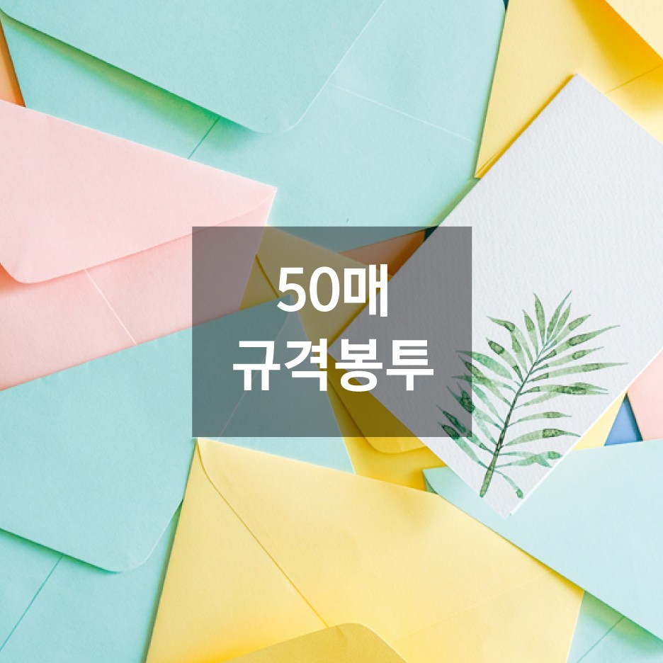 베어플레이 파스텔칼라 엽서봉투 5x7 195 x 135mm 14,700원