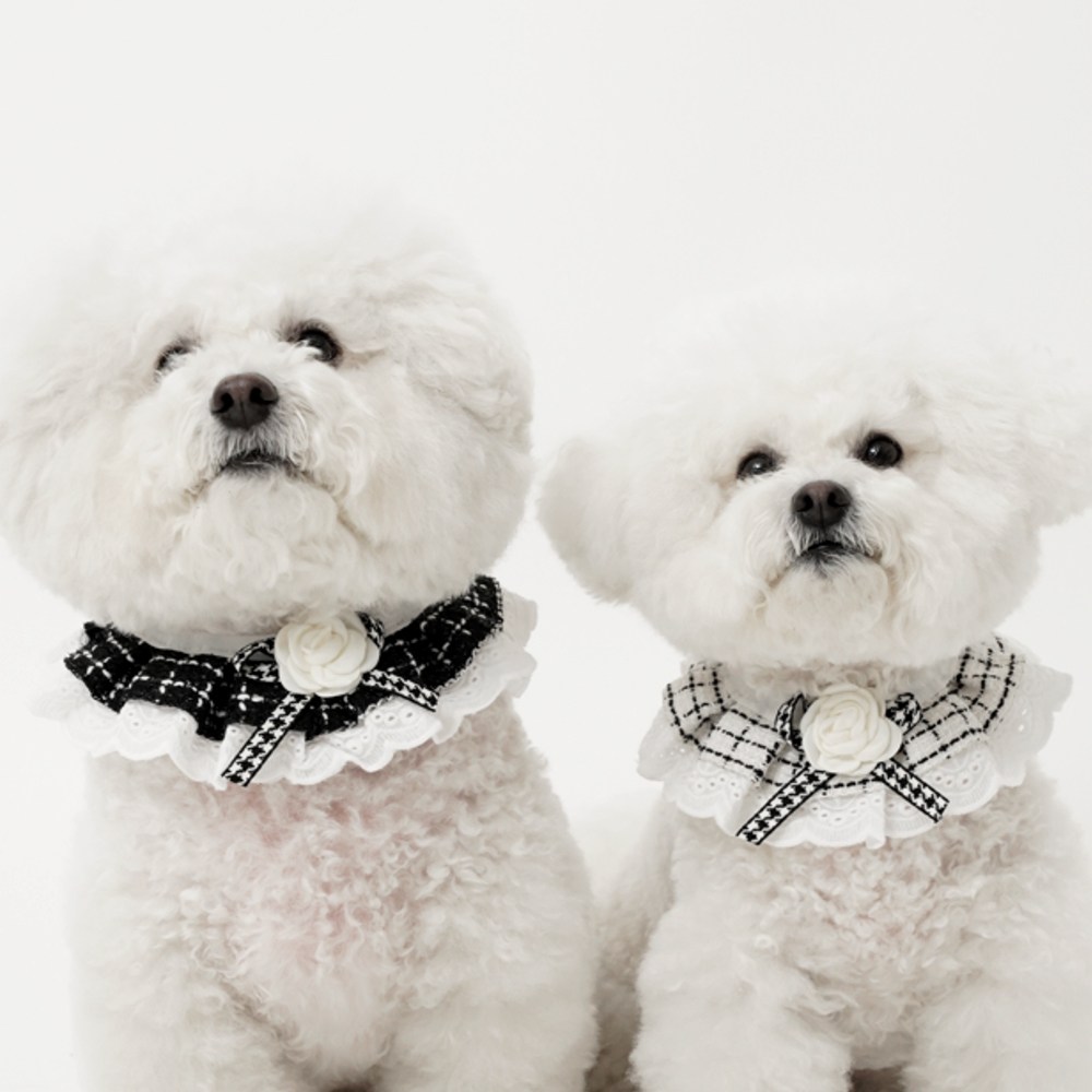 바사바사 강아지 케이프 2종 세트 9,900원