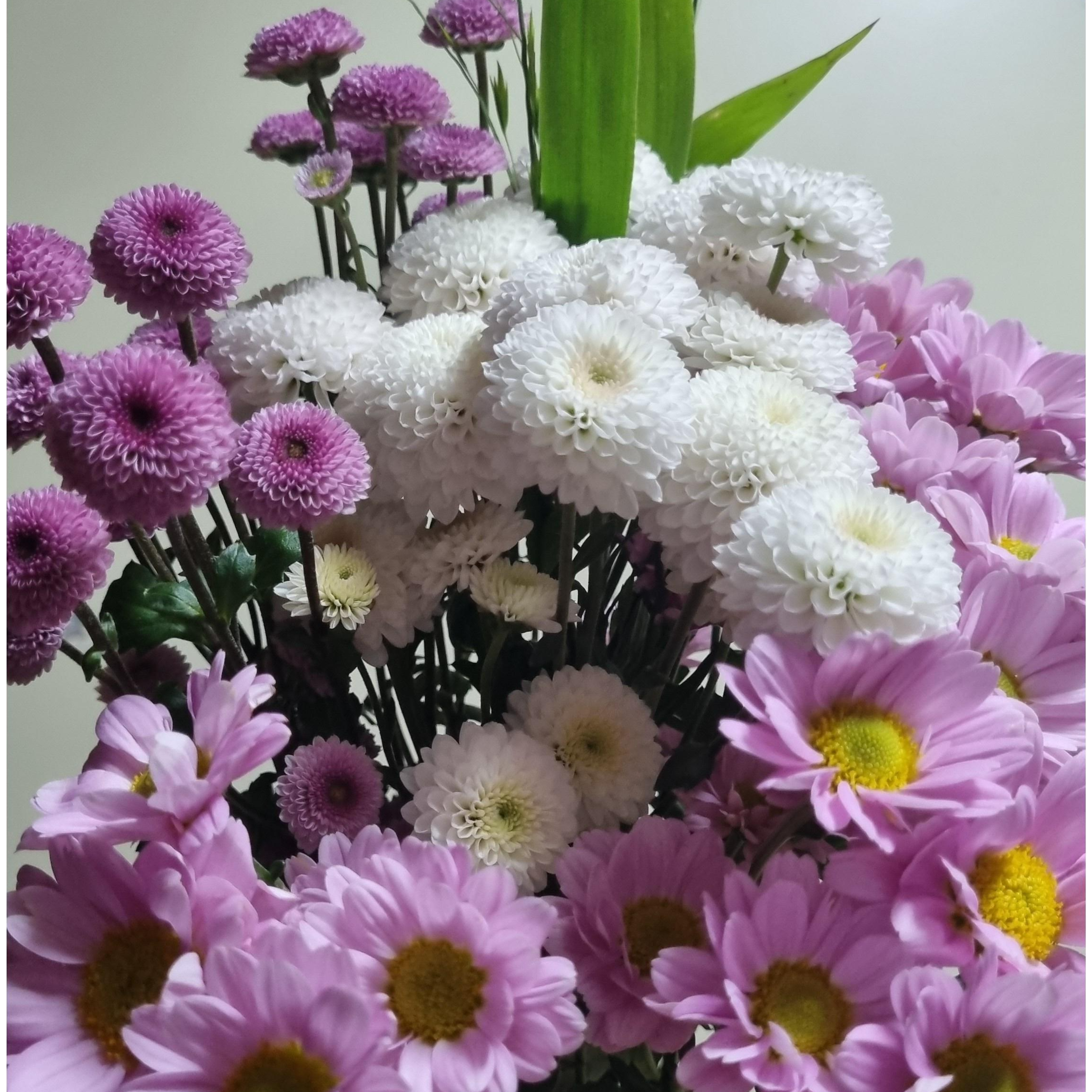 [엔음미몰]소국 한다발 생화 꽃 생일 기념일 전국택배 졸업 입학식 어린이집  유치원 답례 연말 시상식 병문안 프로포즈 선물 15,000원