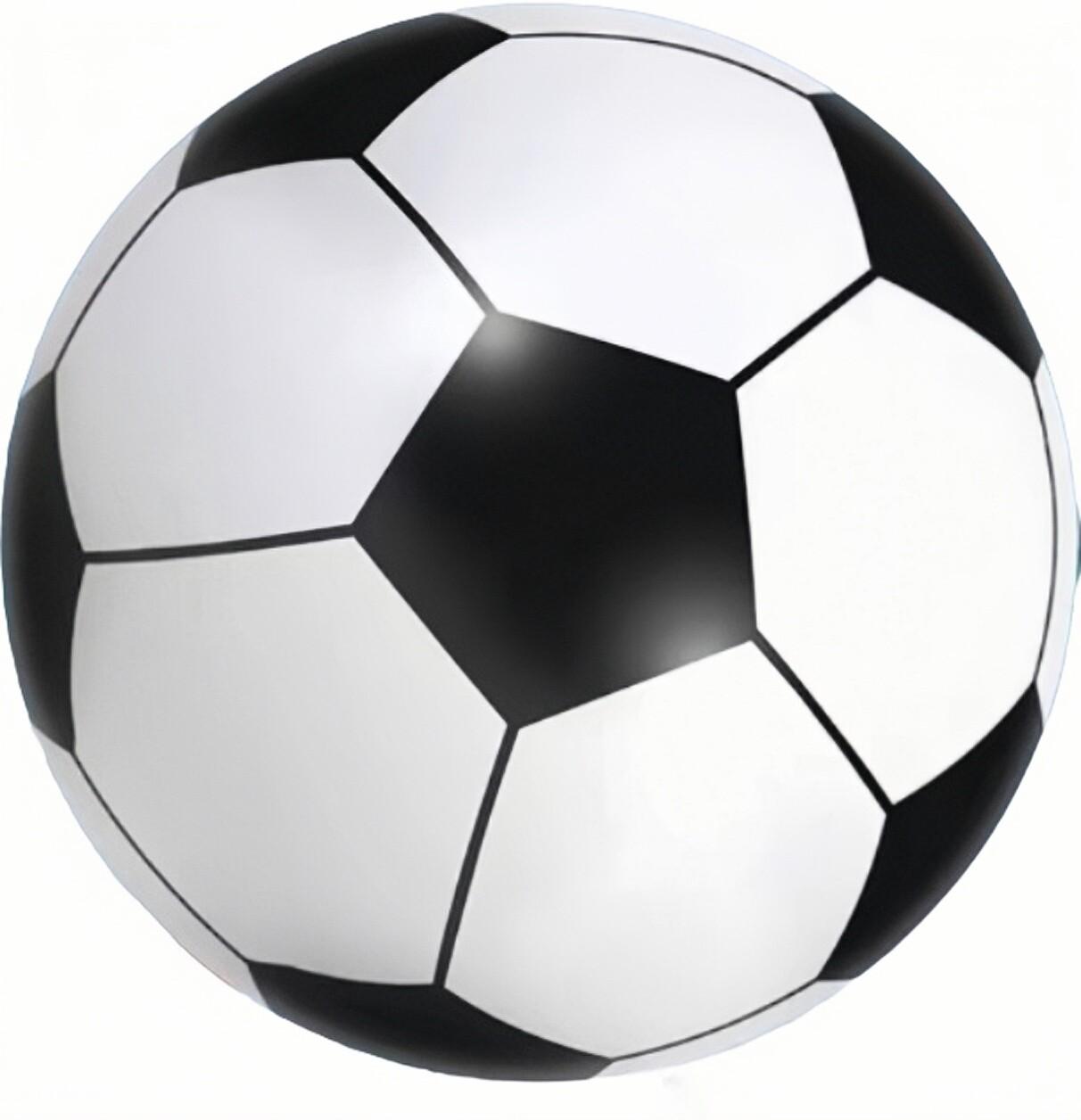 대형 배구공 해변 100cm 비치볼 단합대회 풍선공 게임 비치 에어볼 빅볼 대형배구공 공 45,700원