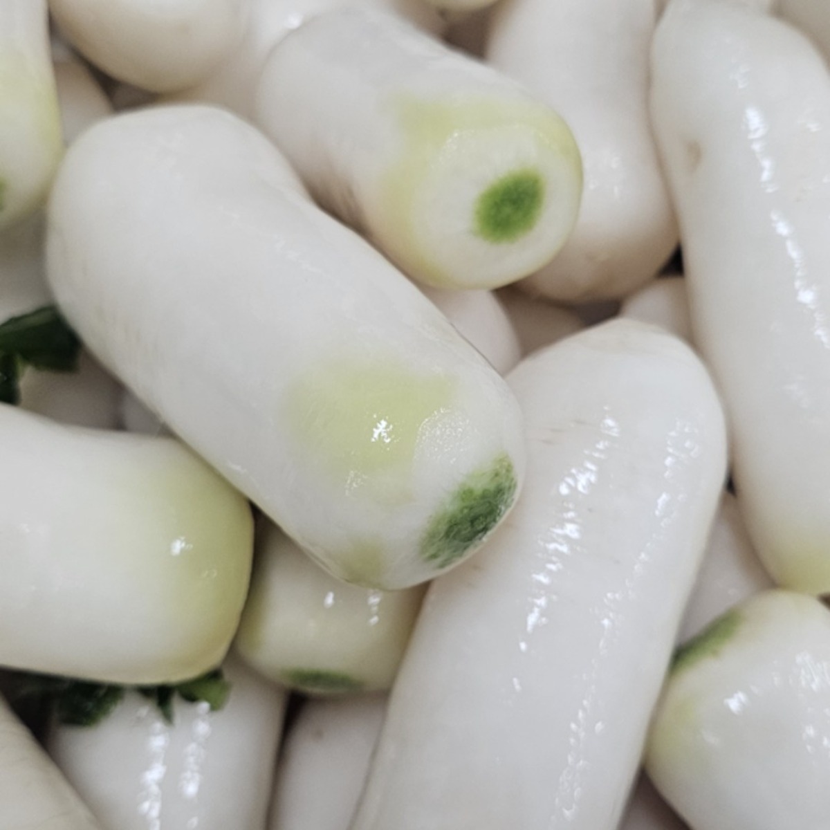 김재모 알타리절임 국내산 알타리무 절임김치 소량 대량 선택가능 30,900원