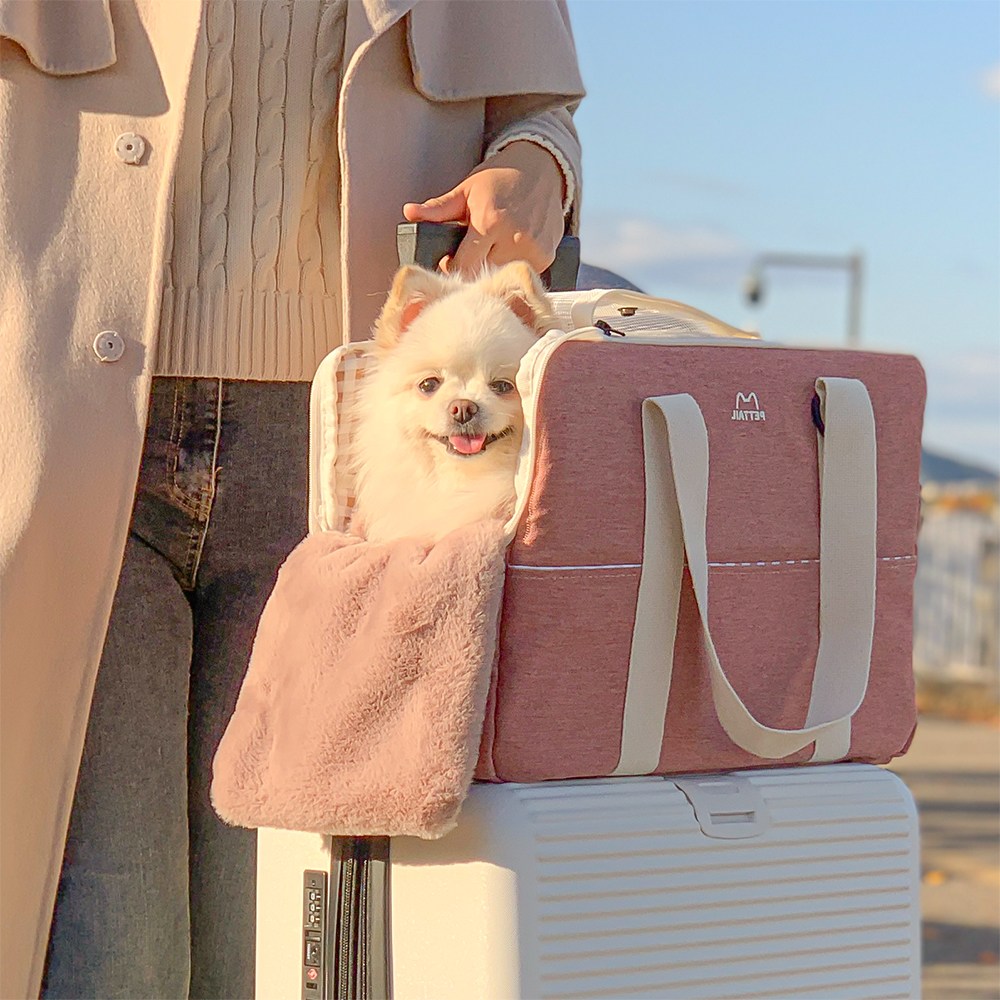 펫테일 반려동물 마카롱 이동가방 + 크로스끈 세트 69,500원