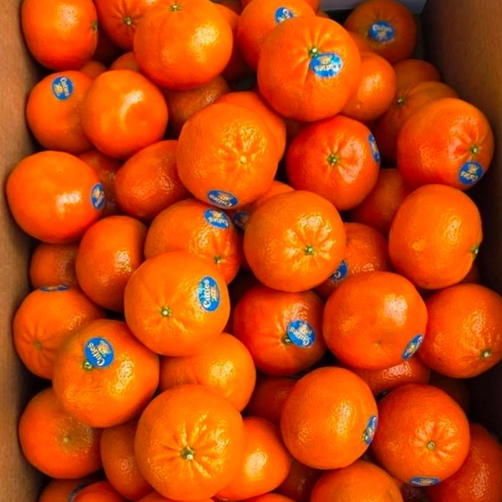 스페셜 혜택가 고당도 만다린, 1박스, 만다린3kg 22,430원