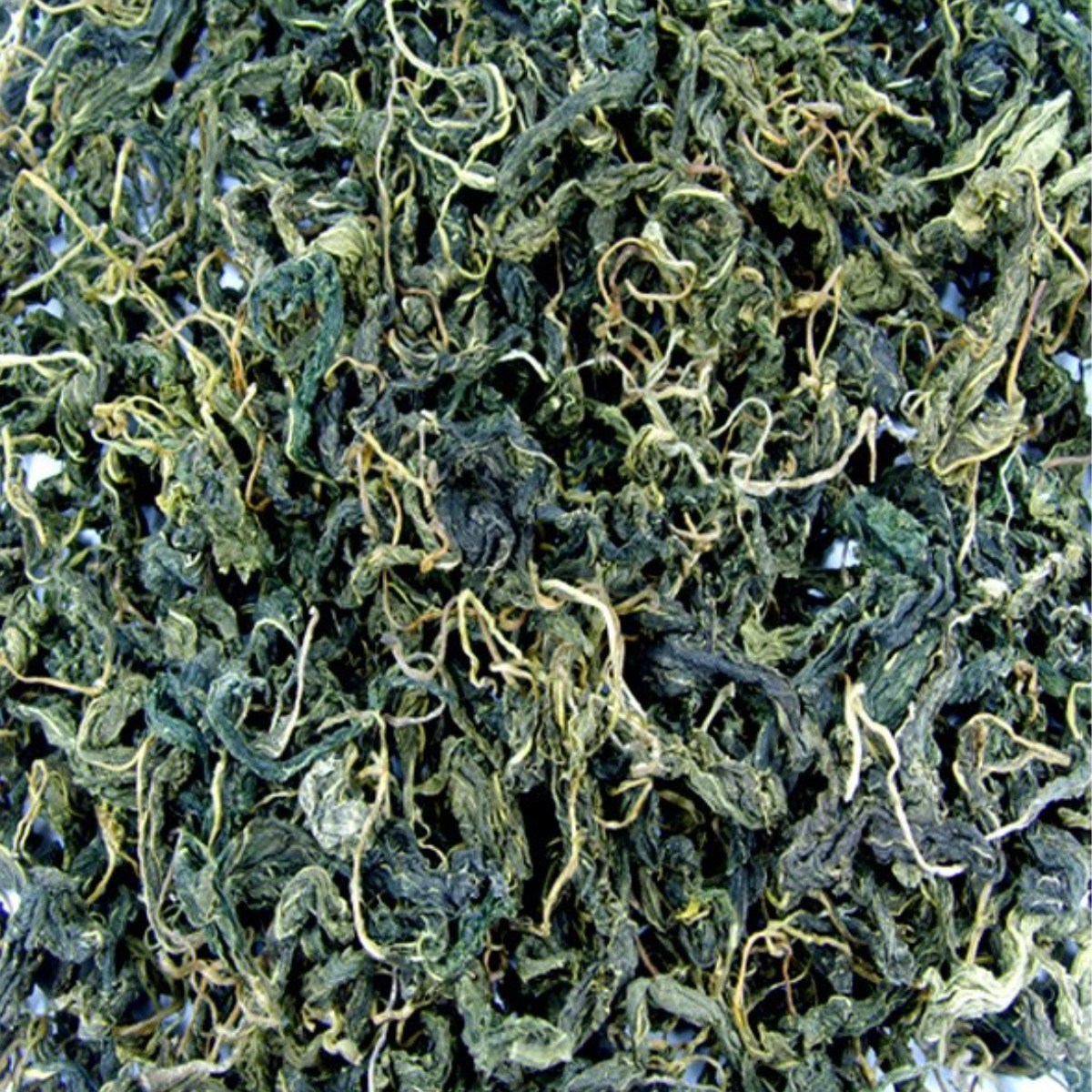 건나물 모음 10kg 부럼나물 다래순 취나물 고사리 고구마순 피마자잎 207,000원