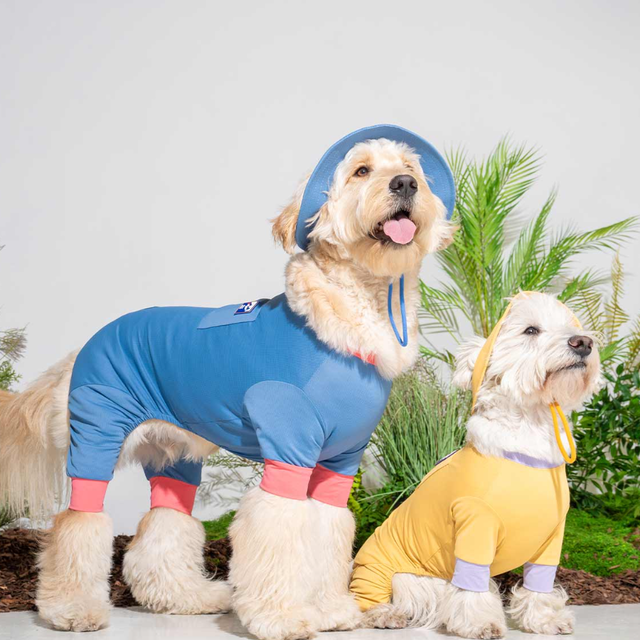 (M-5XL) 아웃사이드 쿨링 올인원 강아지 대형견옷 퍼피갤러리, 1개 34,000원