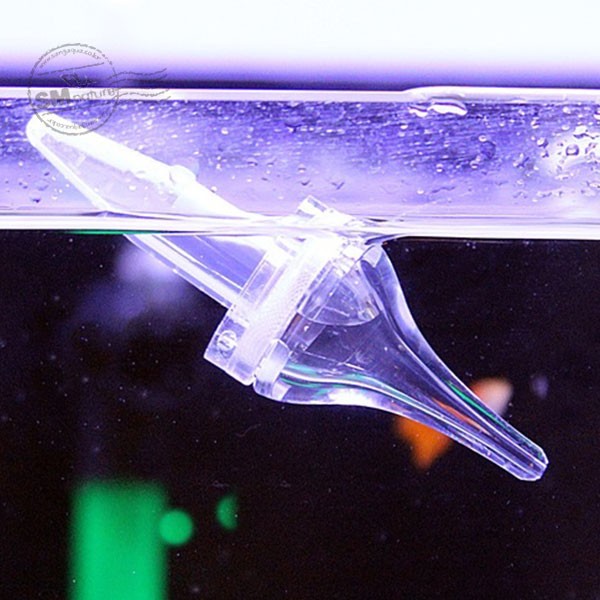 시내랑 브라인 피딩캡슐 [3개입], 3개 12,000원