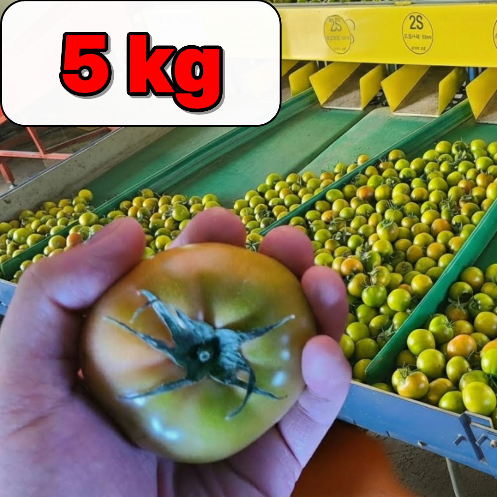 [초특가] 부산 대저토마토 짭짤이 못난이 21,800원