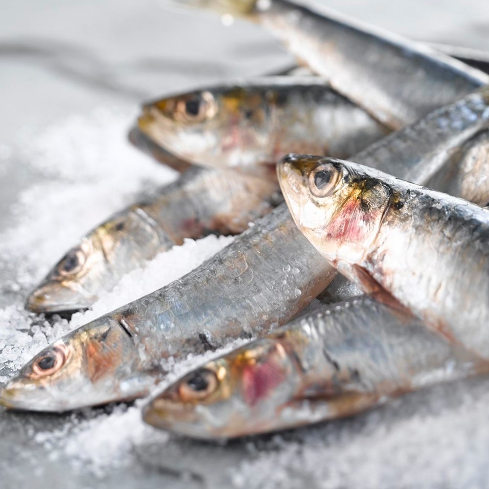 남해 생멸치 쌈밥 조림용 손질 500g 제철 멸치 쌈밥 13,900원