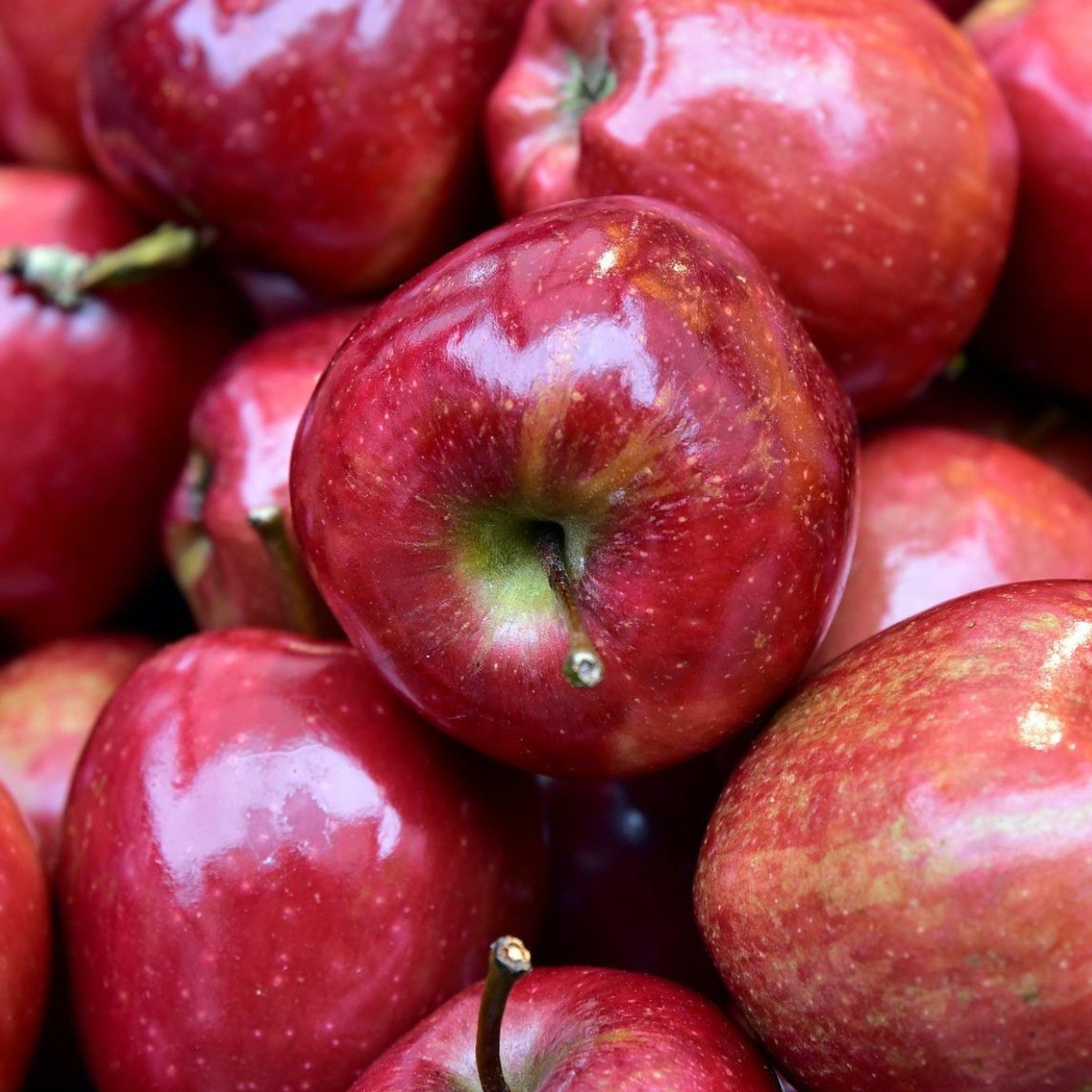 실속보장 14brix이상 고당도 국내산 경북사과, 1박스, 중과 2kg 16,500원