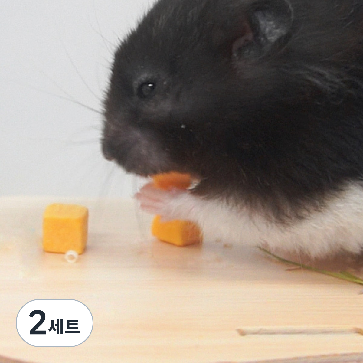 해씨 동결건조 트릿 햄스터간식, 15g, 2세트 26,600원