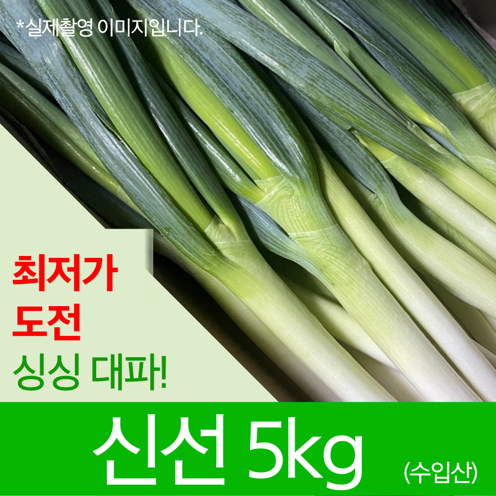 수입 중국산 대파 깐대파 손질 5kg 업소용 식자재 1BOX, 1개 15,800원