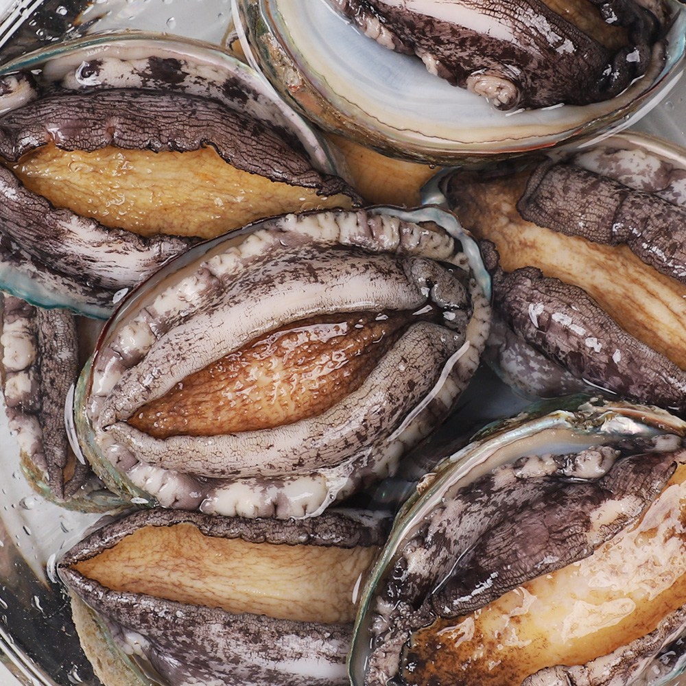 [산지직송]특대 완도 활전복 1kg(12-13미) 산소포장, 1개, 1kg(12-13미) 24,900원