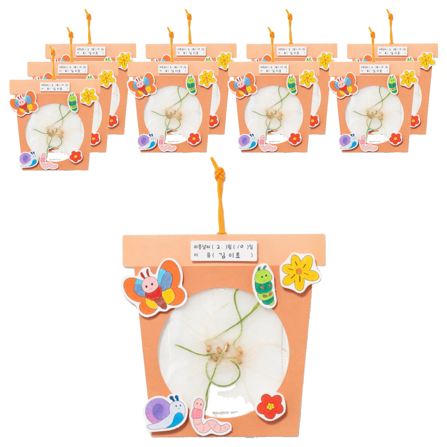 민화샵 뿌리 관찰 식물 키우기 곤충 S240097B, 10개 33,600원