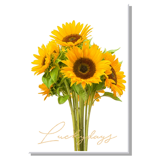 금전운 재물운 부자되는 해바라기 액자 생기그림 32,500원