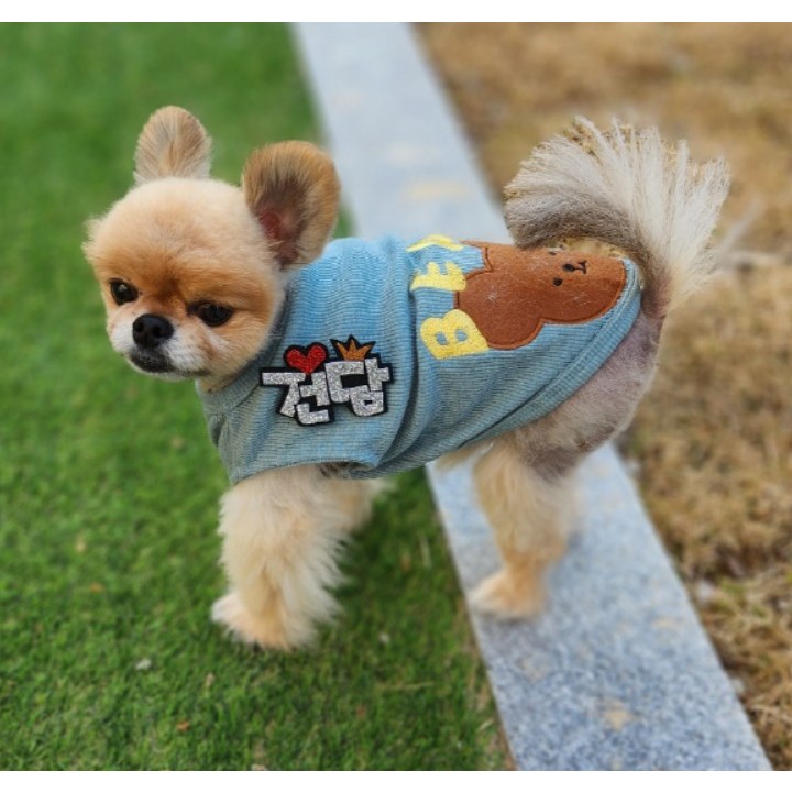 예보들 강아지이름표 애견인식표 강아지인식표 고양이인식표 강아지이름표목걸이 생일케이크토퍼 강아지토퍼 강아지생일파티용품 애견목걸이 강아지인식표목걸이 고양이목걸이 3,900원