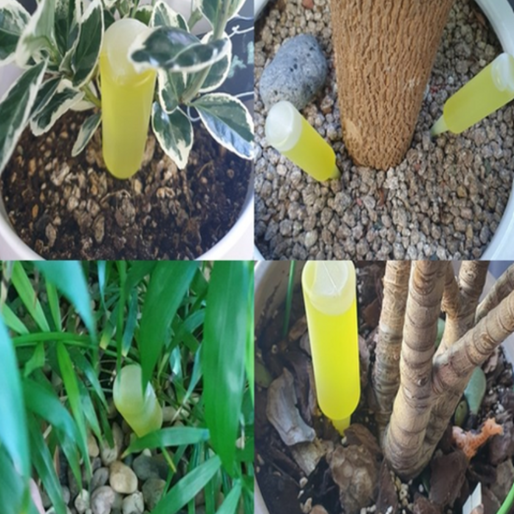 고급 화초 식물영양제35ml-10개 모든식물용 앰플형 난 관엽 분재 9,680원