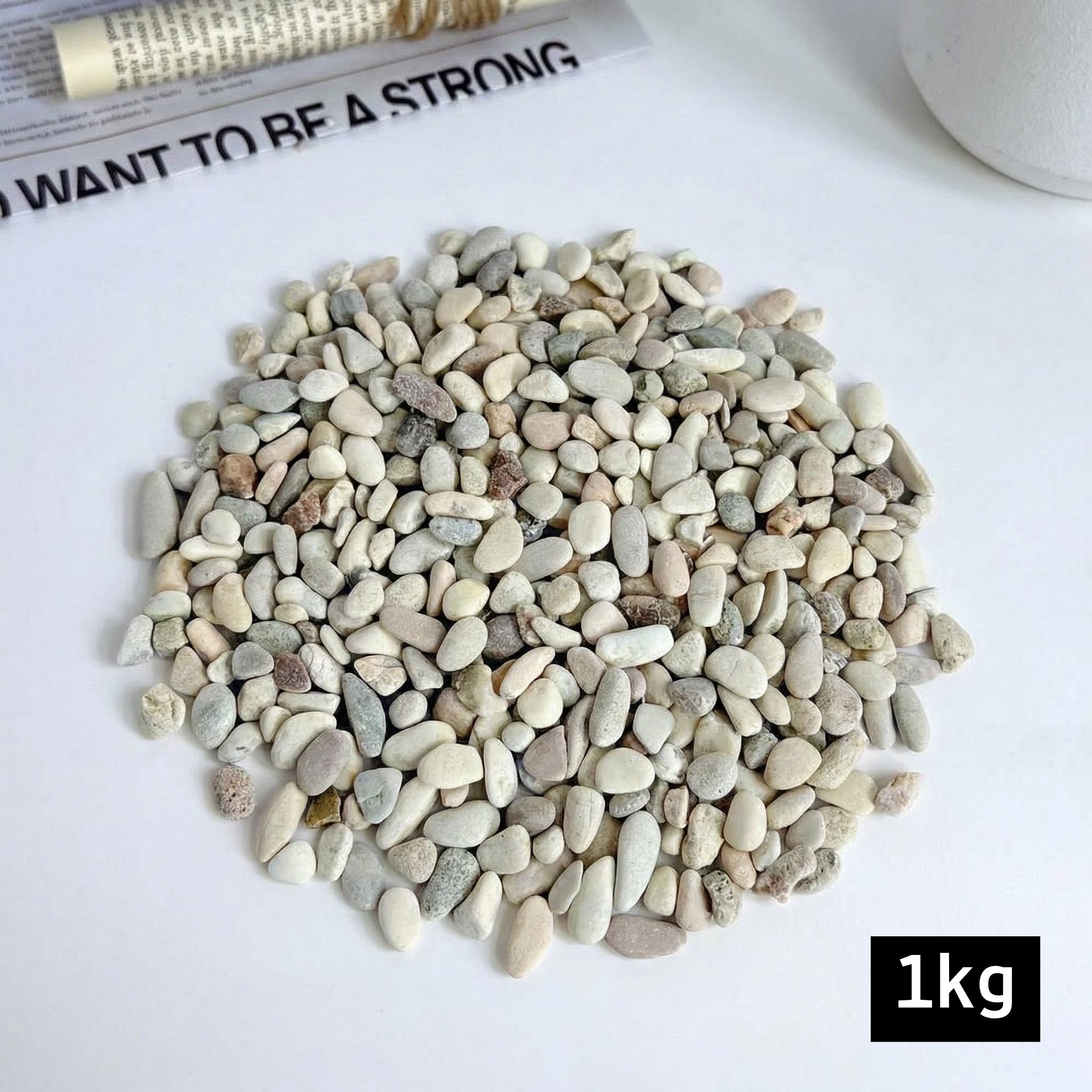 프리미엄 콩자갈 베이지 그린, 1개, AK콩자갈, 5-7mm, 1kg 5,800원