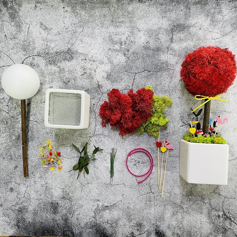 스칸디아모스 토피어리 키트 집에서도 만들 수 있는 DIY 공기정화식물 천연이끼, 1개 17,000원