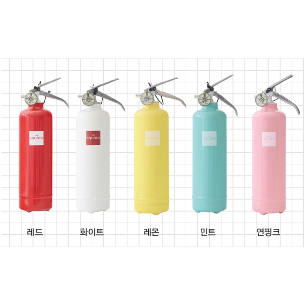 유광 민트 자동차겸용 분말 ABC 디자인 소화기 1kg 식당 아웃도어 숙박업소 유류화재 캠핑 차량용 소방안전 46,000원