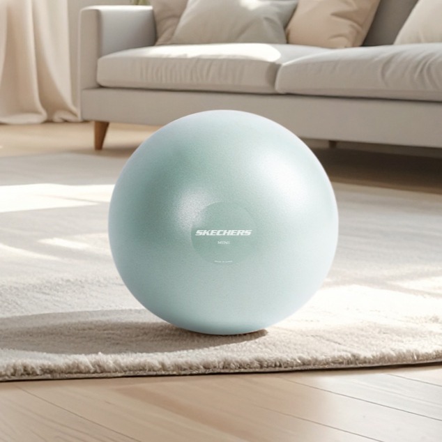 스케쳐스 고중량 안티버스트 짐볼 150g 6,900원