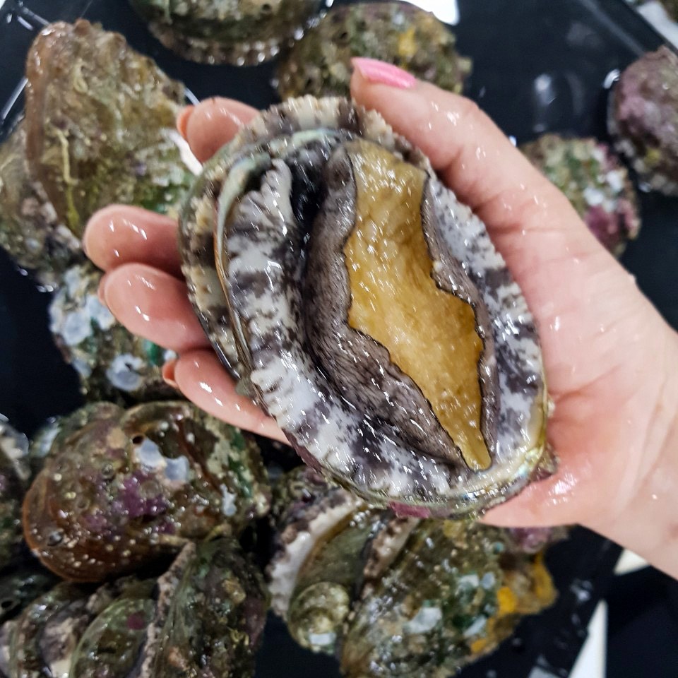 [신안 완도] 패류 의 황제 활 전복1kg-싱싱 산소포장(6~7미/10미) 105,000원