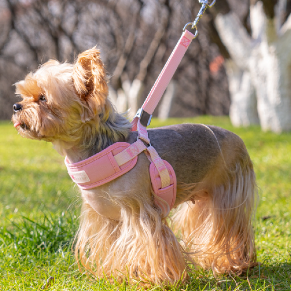 바오스레 강아지 무압박 야외 하네스, 핑크, 1개 12,490원