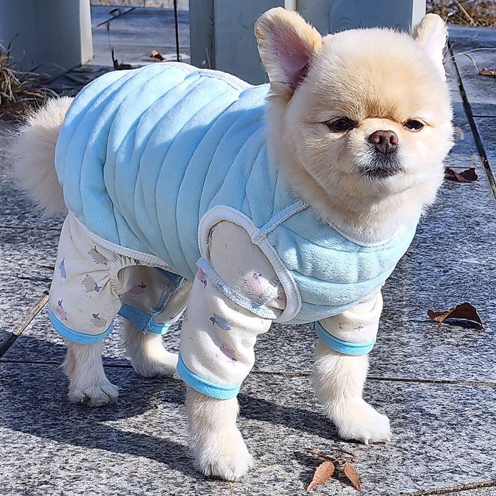 해피앤퍼피 강아지옷 조끼 패딩 21,900원