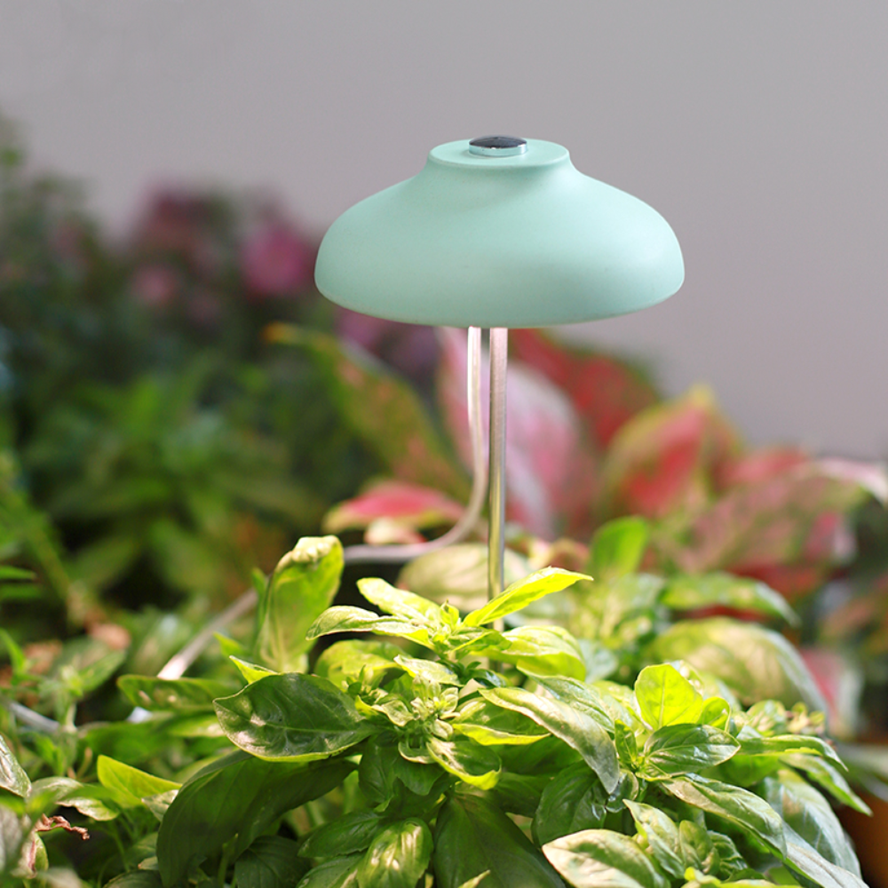 [전용 어댑터 포함] 몽이정원 우산 식물등 LED 식물 조명 전구 생장등 성장등 램프 다육이 키우는법 이케아 정원 26,000원