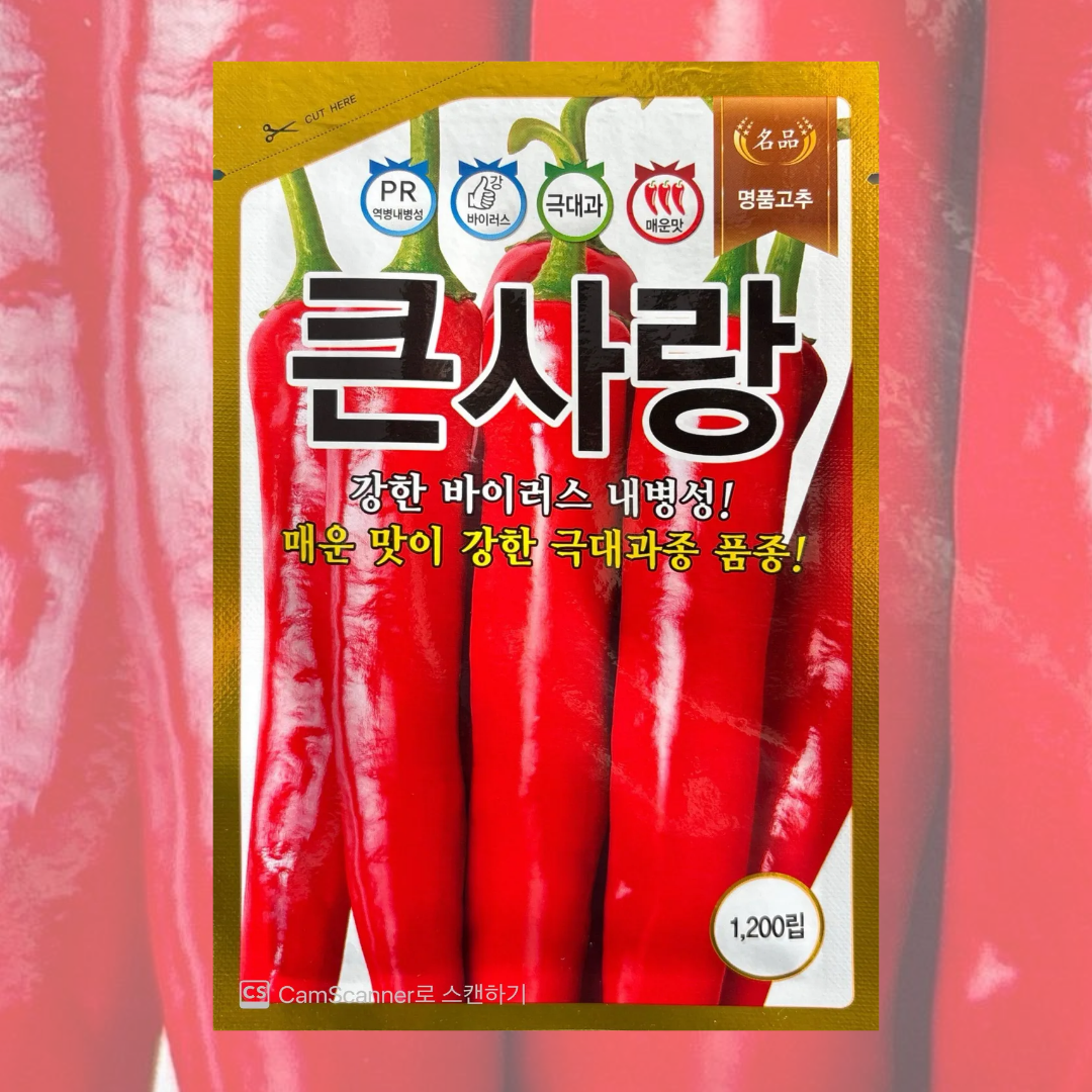 큰사랑고추씨앗 1200립 26년포장 농우고추종 99,000원