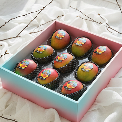 실패없는 애플망고 항공수입100% 고당도, 애플망고 3.6KG내외 [9과] 선물용, 1개 81,900원