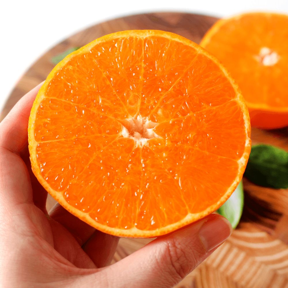 [타임세일] 꿀당도 제주 고당도 천혜향, 1박스, 10kg 65,900원