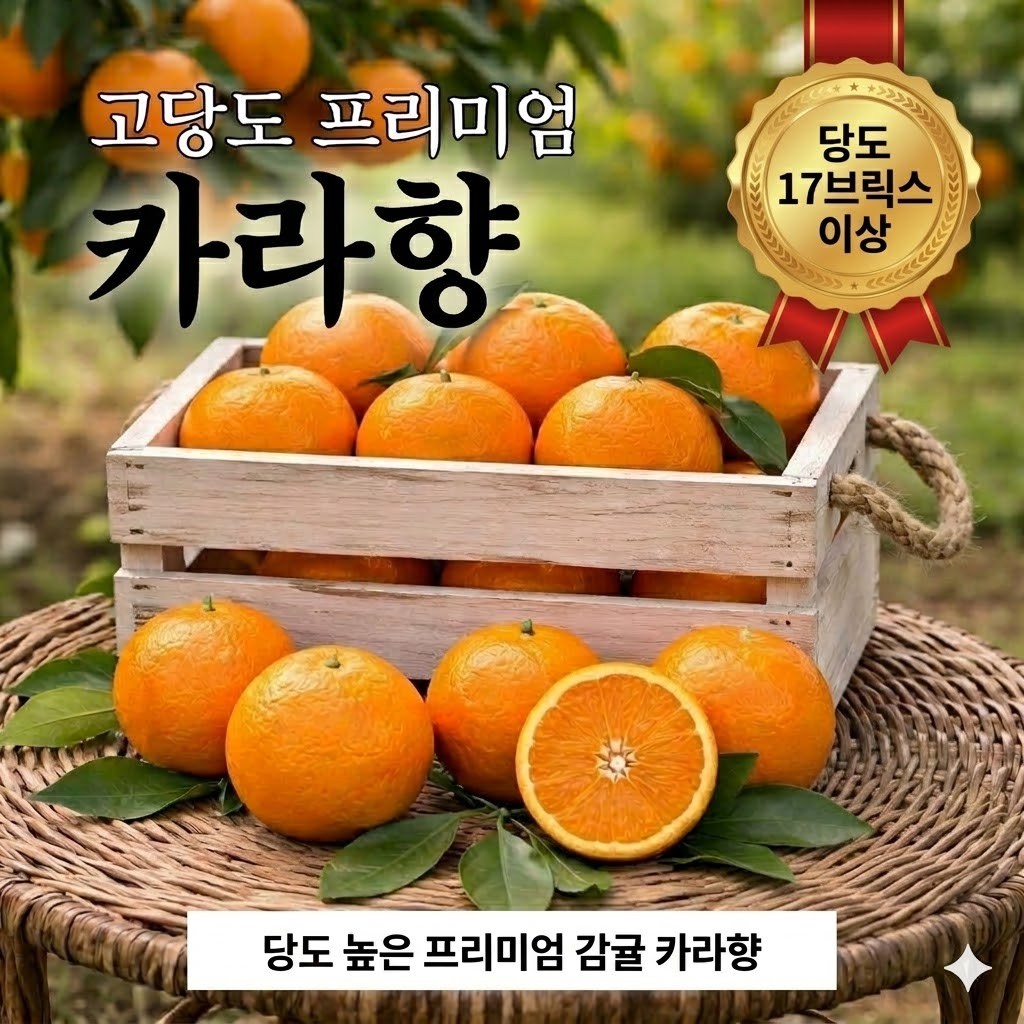 [더밭 산지직송] 제주 카라향 고당도 17Brix 감귤 선물용 15,100원