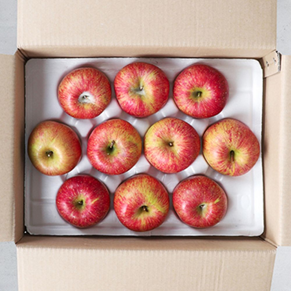 [초특가]껍질째먹는 고당도 경북 달콤한 빨간 꿀사과, 1박스, 2kg 31,900원