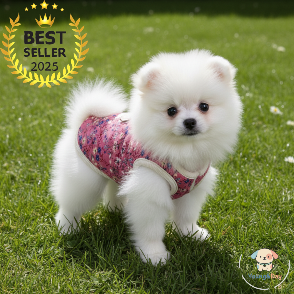 영앤데이 강아지 조끼 할머니조끼 강아지 레트로할매조끼 9,800원