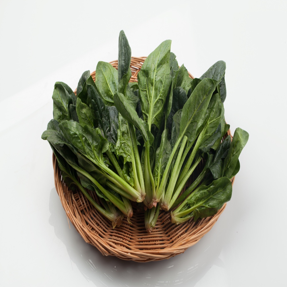 [타임세일] 농장직송 남해 보물초 시금치 23,900원