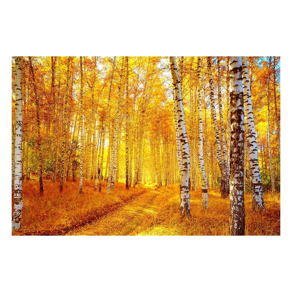 부자되는 그림 황금 자작나무 금전운 풍수 인테리어 캔버스 액자, 03 금전운 자작나무 89,500원