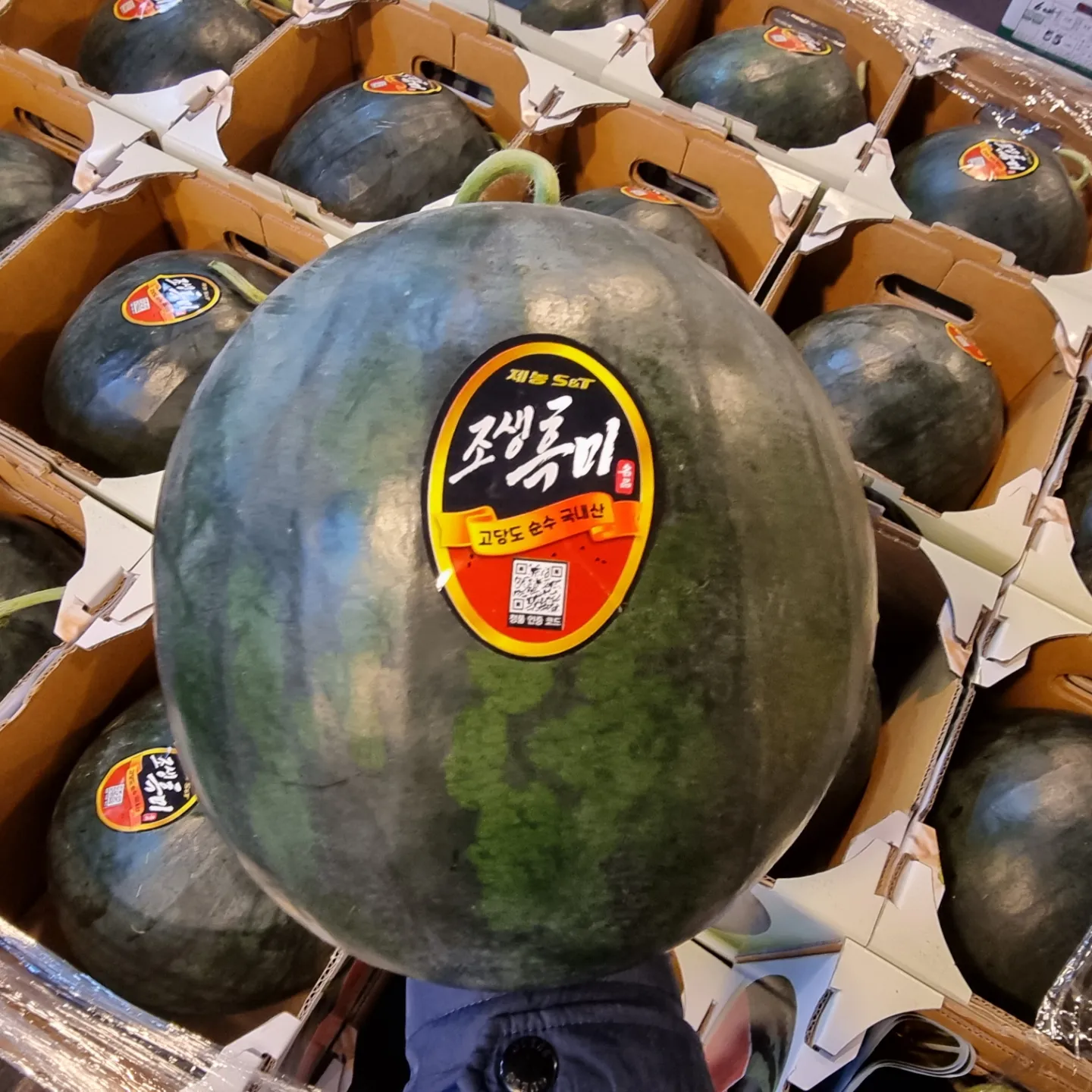 [부자농산] 충북 음성 고창 양구 프리미엄 고당도 고랭지 빅 사이즈 수박 조생흑미수박, 8kg 이상, 1개 55,900원