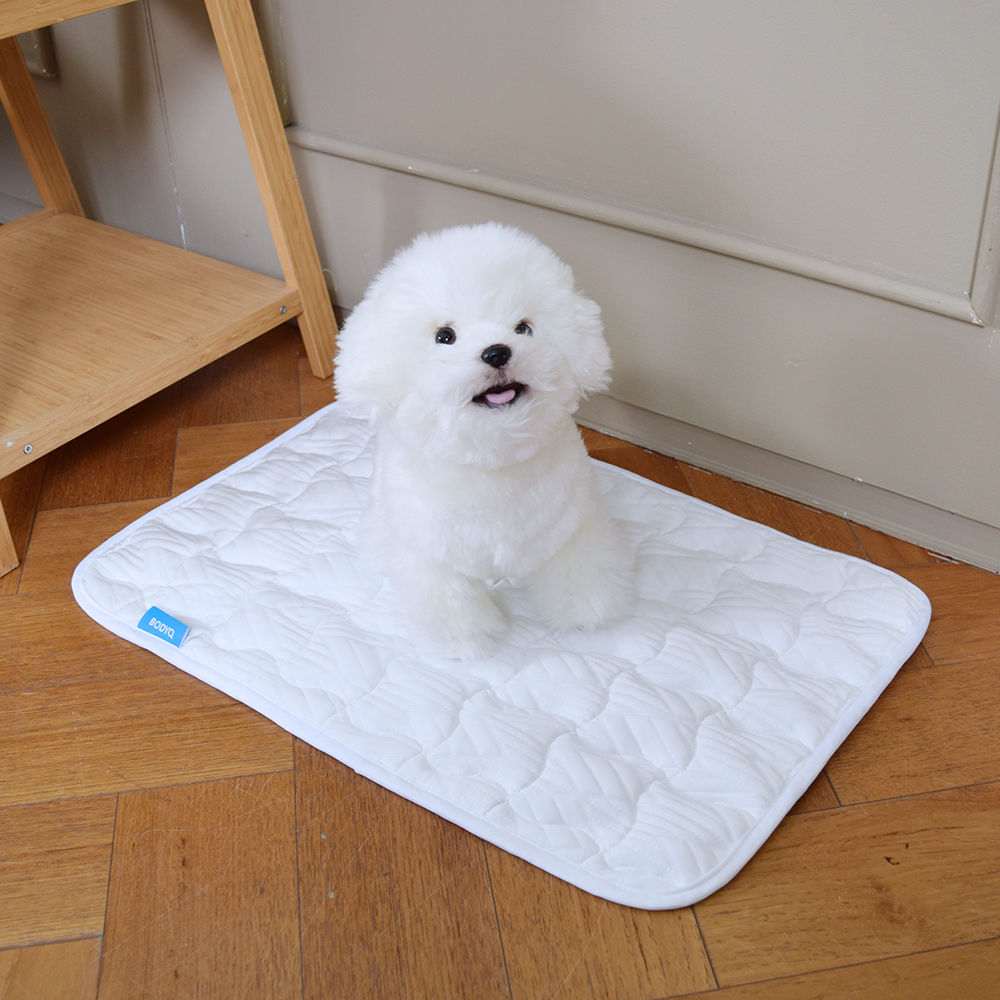 바디큐 듀라론 애견용 항균 냉감패드 18,800원