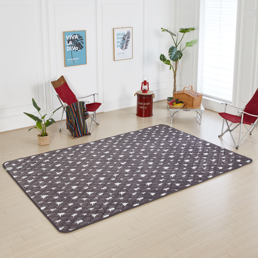 더안 EMF 캠핑 극세사 전기매트 DH-2020 159,000원